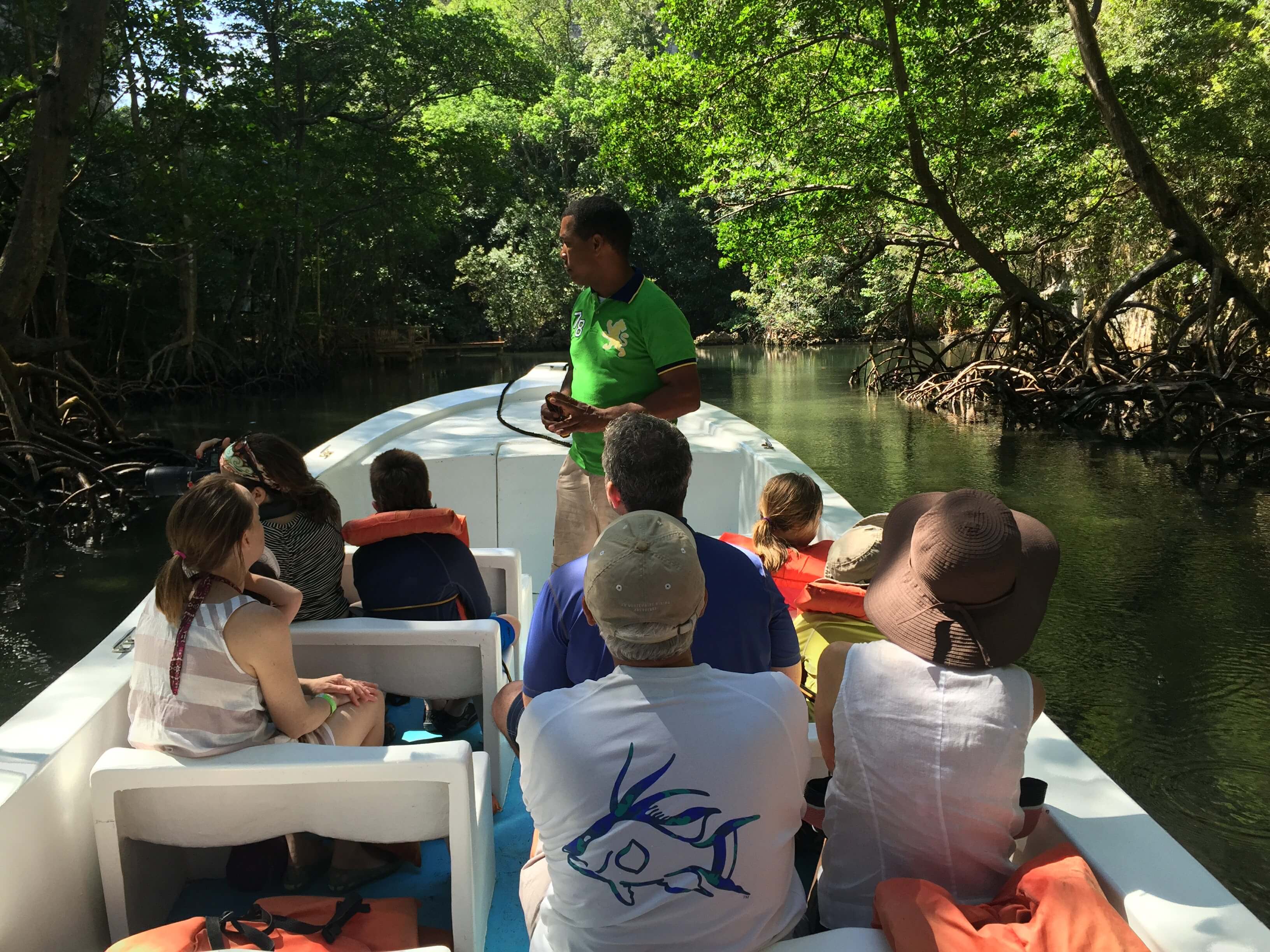 Boat tour through mangroves in Los Haitises National Park