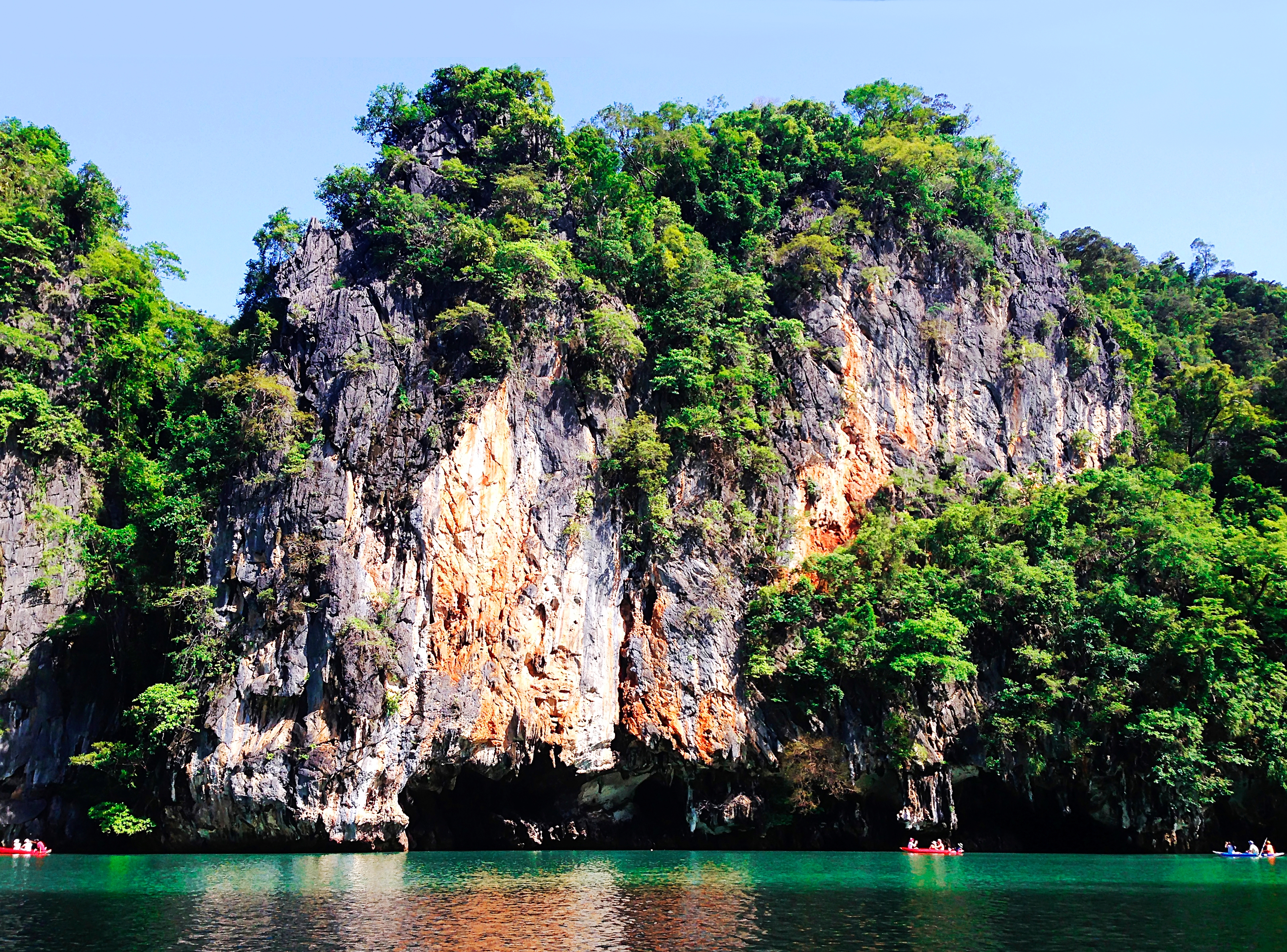 Mangroves and kayaks