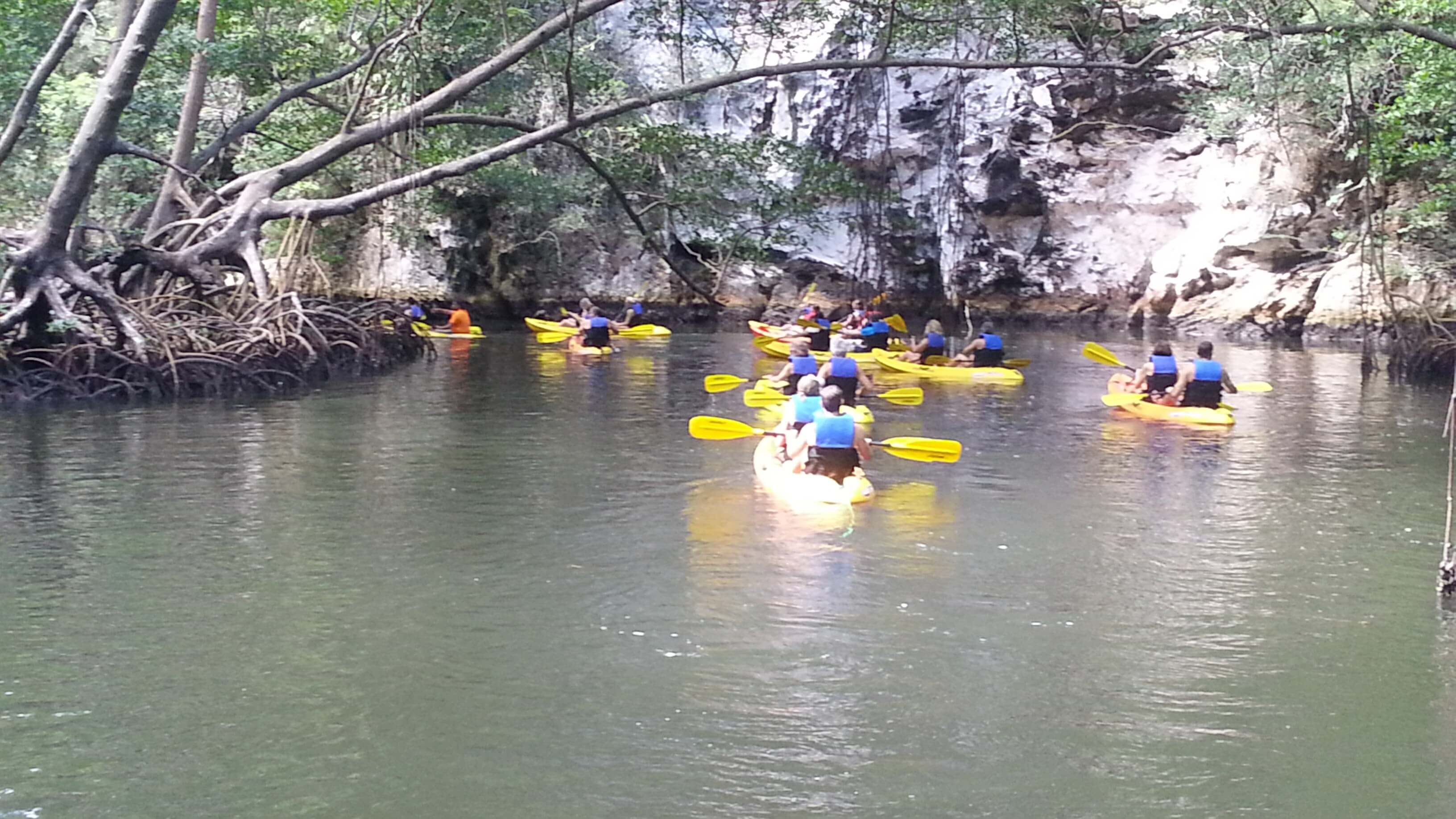 Kayakers moving through calm green waters in Los Haitises