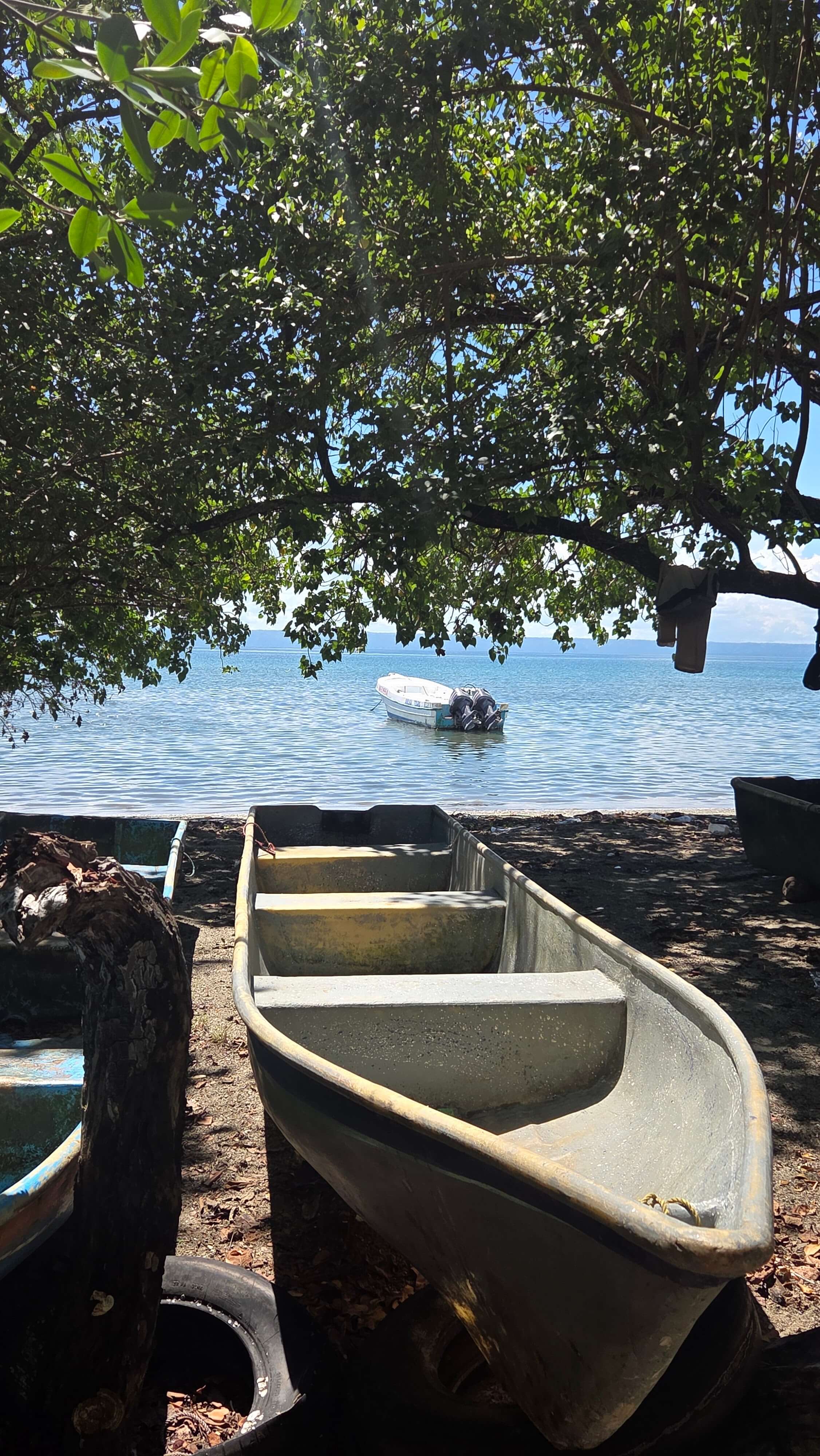 Simple boats and shoreline scenery in rural Samaná
