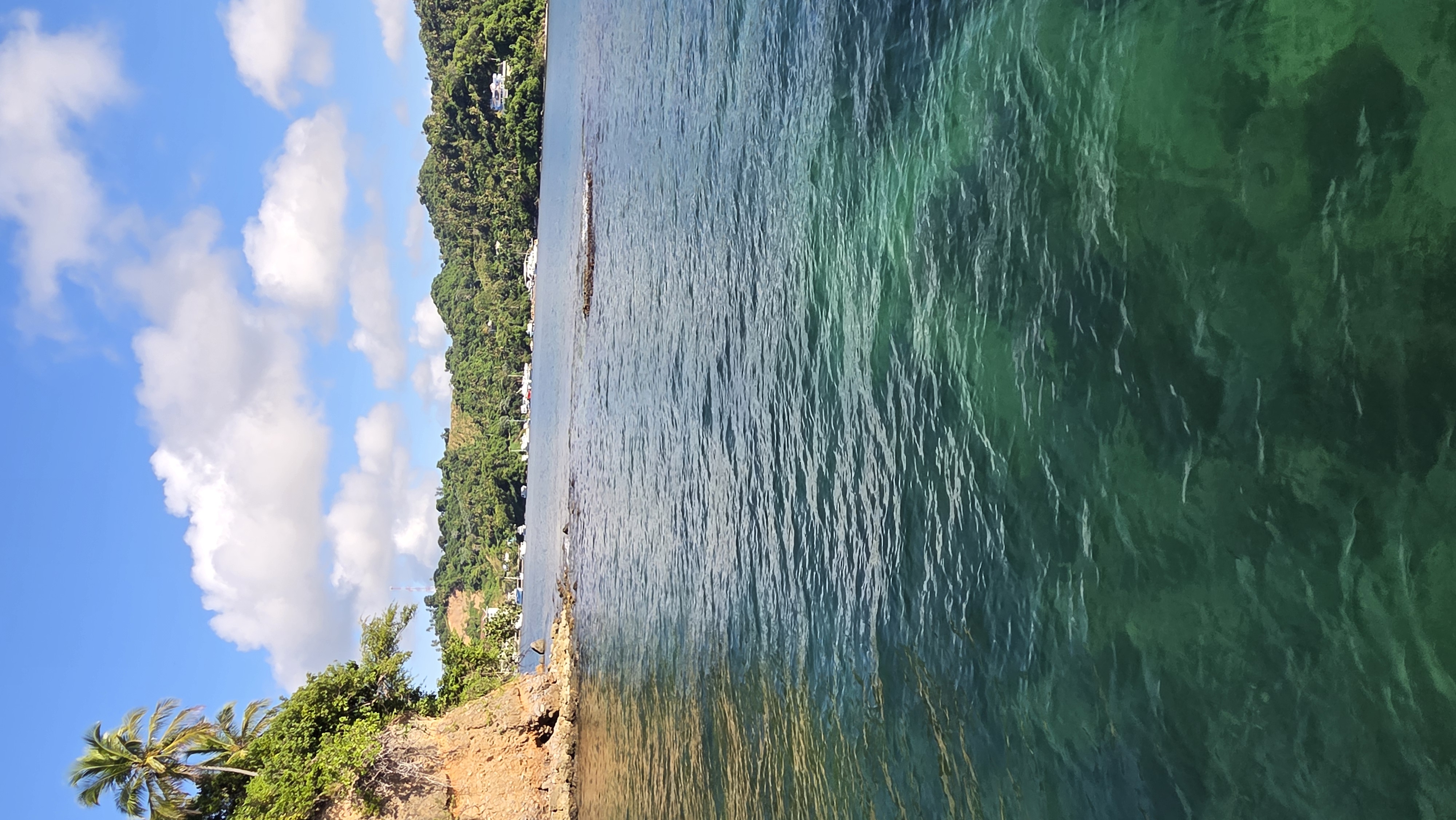 Coastal Snorkeling near Cayo Vigía